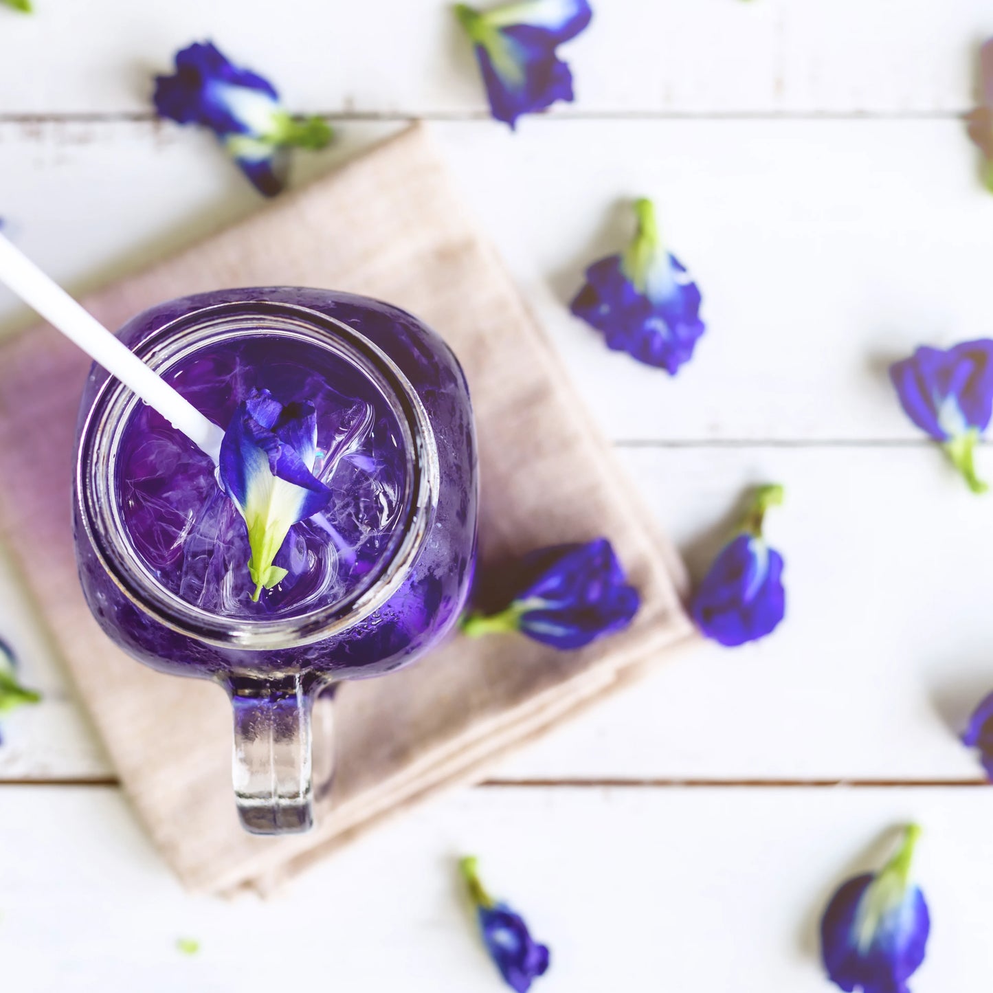 Sirop de Clitoria - ÉQUILIBRE