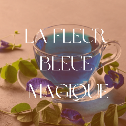 La Fleur Bleue Magique : Tout savoir sur la Fleur de Clitoria