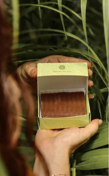 Shampooing solide à l'Hibiscus - Force, brillance & douceur naturelle